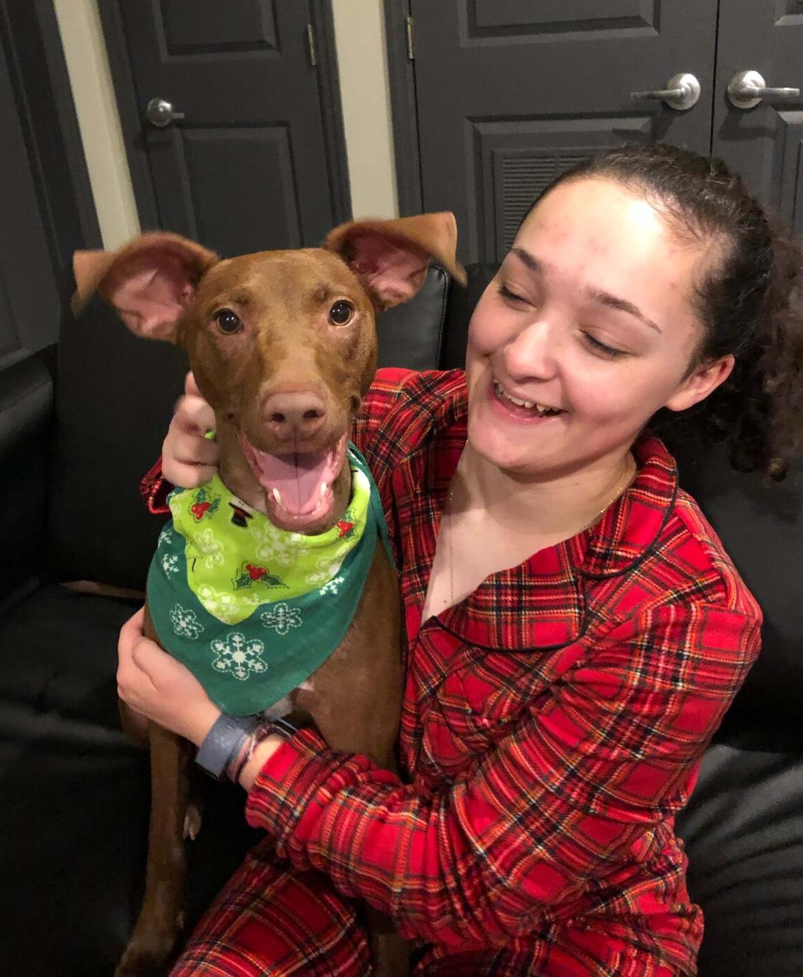 Pets in the Pandemic: UTC's Four-Legged Companions